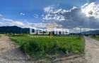 Teren de vanzare Alexandru cel Bun 20.000 Euro 735mp - 2