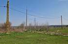 Fermă de vânzare 8 ha – Balș, județul Olt - 15