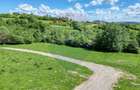 Teren 500mp Tohanita (intre castelul Bran si Zarnesti), padure + parau - 3