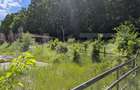 Hulubești, Butoiu de Jos Teren intravilan cu Panoramă Superbă către Pădure - 5