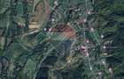 Teren extravilan Rasnov , Glajerie-Str Poiana velicanului, 1100mp - 7