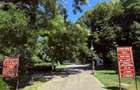 Exclusivitate-Parcul Cismigiu,ap. 3 camere,et. 2/7, lift,81mp utili,mobilat,boxa - 14