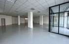 Spatiu comercial mare - Crangasi (aproape de piata, metrou) - 2