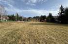 Teren de vanzare 1000 m2 Cheia - 3