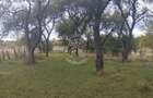 Teren intravilan 1500 mp-ideal casa-Mijlocenii Bargaului - 1