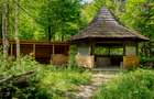Cabană: afacere și vacanță în același loc | Camenca, Brusturoasa - 5