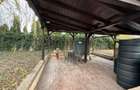 Casă individuală cu teren, de vânzare în Lipovei – Timișoara - 18