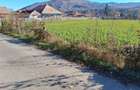 Teren intravilan Stejaru, plat, pretabil constructie, 1700mp - 2