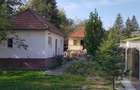 Proprietate unică chiar lângă Mănăstirea Govora - 3