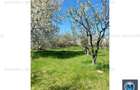 Teren intravilan de vanzare in Baicoi, 4036 mp #15948 - 5