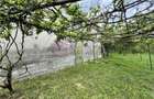 Casa individuala de vanzare in Nucet | Rosia | teren 1526 mp | livada, pivnita - 3