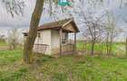 Teren 1 ha cu baltă populată – Alioș (Mașloc) - 7