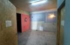 Oravita, Casa cu Spatiu Comercial, 784mp, ZERO COMISION - 14