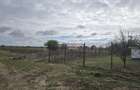 Amzacea- sat G. Scarisoreanu -Ferma zootehnica , 5,1 hectare - 10