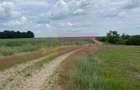 Teren 6,26 ha lângă DEx12 Pitești - 15