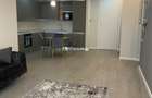 Inchiriere apartament 2 camere Parc Herastrau - 6