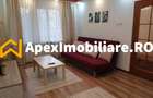 Garsoniera de inchiriat Dristor București | ApexImobiliare.ro - 3