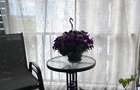 Proprietar 3 camere, Aviatiei/ H Pipera Lake, zona  privata, lake view, superb - 13