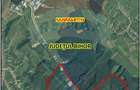 Teren intravilan de vanzare in Hidiselul de Jos, jud.Bihor - 5