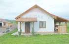 Teren Intravilan + Casa de vacanta Acris | Vama Buzaului | 2551 mp - 5