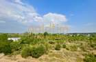 NOU/ PRIVELISTE/ PADUREA BANEASA/ZONA LINISTITA/2 BAI/BUCATARIE INCHISA - 8