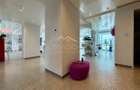 Exclusive Penthouse *514sqm* / terrace 255sqm - Lake View // Floreasca - 20