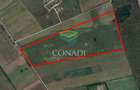 Corbeanca- Teren 45 Ha cu PUZ aprobat - 6