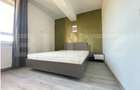 Apartament de 2 camere, mobilat si utilat, zona Tatarasi - 10