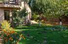 Casă de vânzare Domnești Teghes – proprietate individuală, zonă verde - 3