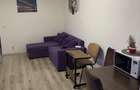 AP. 2 CAMERE PALLADIUM RESIDENCE,PET-FRIENDLY,CENTRALA,LOC DE PARCARE - 4
