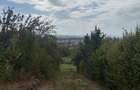 Teren intravilan, 1000 ari, Str. Miron Costin - 4
