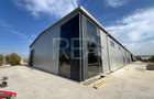 Hale depozitare/productie deschidere la Centura\Chitila - 4