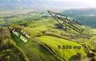 Teren de 9.500 mp in Maramures | Varf de deal, priveliste de pus in rama | Retre - 1