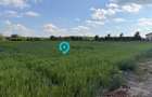 Teren Snagov - Cioflinceni | Drum amenajat | Aproape de Padure si Lac - 3