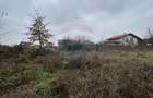 Teren 1,200mp si 400m2 cota drum Satu Nou de Jos / Strada Principala - 5