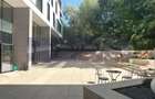 OPORTUNITATE | VANZARE SPATIU COMERCIAL | 44MP | HERASTRAU | WIN | - 12