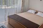 Apartament 2 camere semidecomandat, 53mp ,Brazda lui Novac(Simplon) - 5