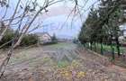Teren 1427 mp - de vanzare in Mihailesti langa lac Arges - 6