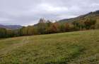Teren ideal recreere/conectare cu natura/zona Fagaras/achitare in rate - 11