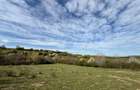 Teren intravilan 500 mp sau 1000 mp în Zarnesti –Tohanita cu parau(izvor) - 6
