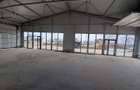Hale cu suprafete intre 100-400mp in zona Drumul Intre Tarlale - 4