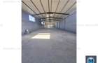 Spatiu industrial de inchiriat, zona Exterior Sud, 468 mp #16662 - 3