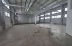 Hala premium 400/700 mp – acces TIR, birouri incluse - 4