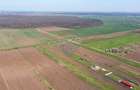 Vanzare teren intravilan 500 mp Sabareni /  Strada Orhideelor - 15