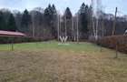 Teren intravilan, livada, langa padure,  pe Valea Avrigului - Sibiu - 8