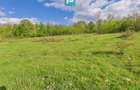 Casă cu teren de 17.681 mp, în loc. Hălmăgel, Arad - 24