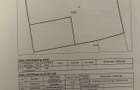 COMISION ZERO - Repr. EXCLUSIVA, str. Plantelor colt cu str. Linistei. - 4