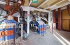 Moară de vânzare în comuna Periam, județ Timiș - 5