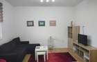 TUNARI-CITY NORD apartament 2 camere mobilat, curte, parcare - 4