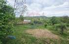 Teren 5,350mp Dobreni / Strada Manastirea Horaita - 18